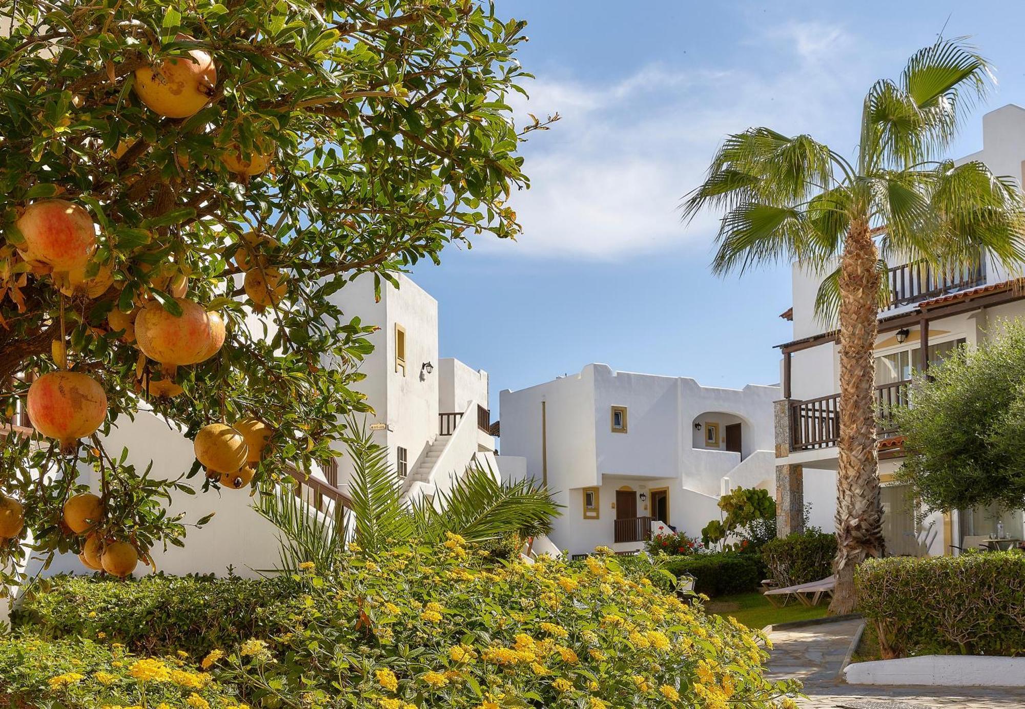 Alexander Beach Hotel & Village Resort Malia  Bagian luar foto